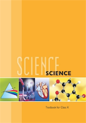 10th Science NCERT Solution Cartaz