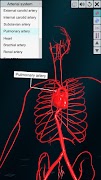 Vascular system Screenshot 3