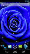 Blue Rose Live Wallpaper screenshot 5