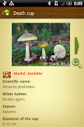 برنامه‌نما Mushroom - Mushtool عکس از صفحه