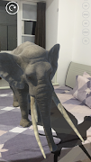 AR Animals imagem de tela 2
