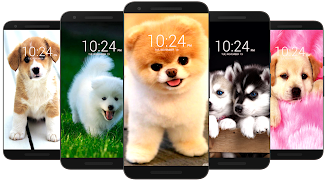 Dog Wallpaper HD screenshot 6