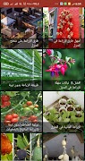 أساسيات الزراعة في المنزل (بدون نت ) screenshot 2