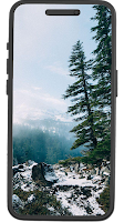 Forest Wallpapers poster