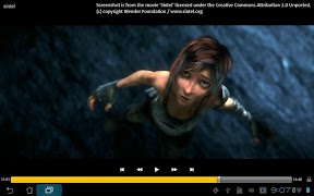 RC Player Pro 截圖 3