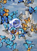 5 Schermata Butterflies App