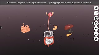 برنامه‌نما 3D Human Digestive System عکس از صفحه