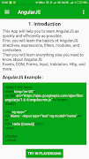 AngularJS Playground screenshot 1