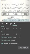 Pocket Quran screenshot 4