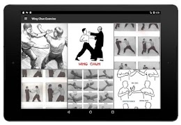 Wing Chun Exercise screenshot 4