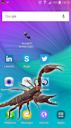 Scorpion in phone prank screenshot 6