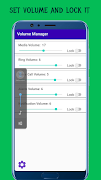 Volume Manager screenshot 2