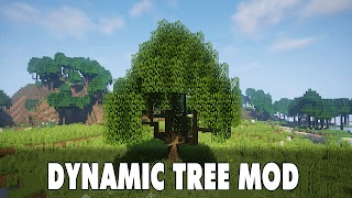 Dynamic Tree Mod for Minecraft पोस्टर