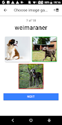 Dogs quiz screenshot 2