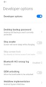 Developer Options पोस्टर