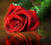 3D HD Wallpapers 2022-2023 screenshot 1