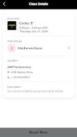 AMP Performance 截图 2