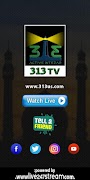 313 TV screenshot 1