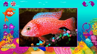 Puzzles fish تصوير الشاشة 6
