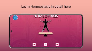 Homeostasis Biology Poster