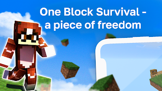 One Block Survival Skyblock poster
