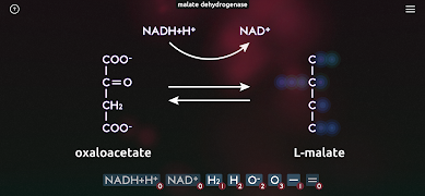 BiochemCity 스크린샷 5