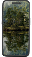 Forest Wallpapers screenshot 1
