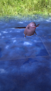 Ocean Canada Map screenshot 4