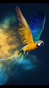 SP File Explorer V2 screenshot 4