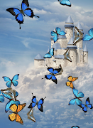 Butterflies App bài đăng