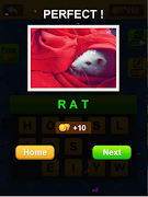 Guess Missing Words screenshot 4