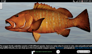 Fishing Buddy screenshot 1