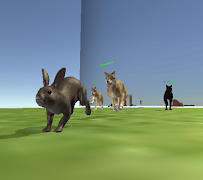 Frightened animals 2021 gönderen