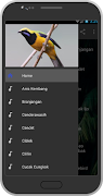 Latest Bird Chirping screenshot 7