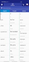 Punjabi Serbian Dictionary Affiche