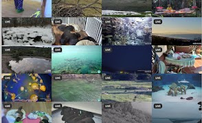 Live Documentary Animals स्क्रीनशॉट 1