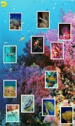 Puzzle océan Affiche