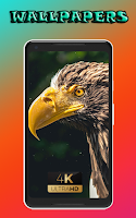 cool Summer Fruit Live Wallpaper Berry Wallpapers screenshot 1