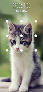Katzenmuster Sperrbildschirm Plakat
