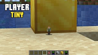Player Tiny Minecraft Mod โปสเตอร์