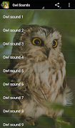 Owl Sounds screenshot 2