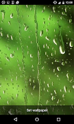 Rain Live Wallpapers captura de pantalla 2