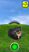 Maxwell Cat Dance screenshot 6