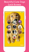 Dogs Labrador Lock screen Dogs Labrador HD AppLock 截图 7