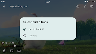 Next Player screenshot 6