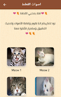 صوت القطط Plakat