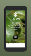 NZ Trees 海报