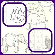 7 Schermata Disegno Tutorial Animal