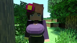 Girls Mod in Minecraft poster