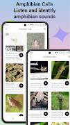 Frog identifier screenshot 6
